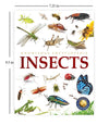 Animals - Insects : Knowledge Encyclopedia [Paperback]