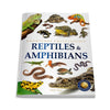 Animals - Reptiles and Amphibians [Paperback]