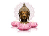 Buddha Pink Lotus Flowers Wall Sticker for Living Room,Bedroom,Office Sticker Size - 49 Cm X 58 Cm