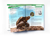 Animals - Reptiles and Amphibians [Paperback]