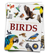 Knowledge Encyclopedia Animals - Birds [Paperback]