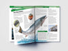 Knowledge Encyclopedia - Marine Animals [Paperback]