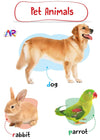 My AR Book of Animals by Team Pegasus [Paperback]