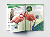 Knowledge Encyclopedia Animals - Birds [Paperback]