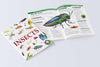 Animals - Insects : Knowledge Encyclopedia [Paperback]