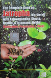 THE COMPLETE BOOK ON JATROPHA (BIO-DIESEL) by NIIR BOARD OF CONSULTANTS AND ENGINEERS [Paperback]