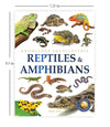 Animals - Reptiles and Amphibians [Paperback]