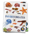 Knowledge Encyclopedia Animals - Invertebrates [Paperback]