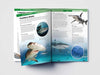 Knowledge Encyclopedia - Marine Animals [Paperback]