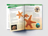 Knowledge Encyclopedia Animals - Invertebrates [Paperback]