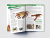 Knowledge Encyclopedia Animals - Invertebrates [Paperback]