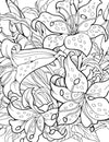 Flowers- Colouring Book For Adults [Paperback]